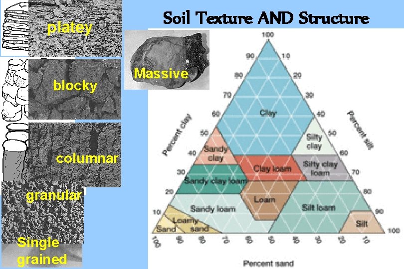 platey blocky columnar granular Single grained Soil Texture AND Structure Massive 