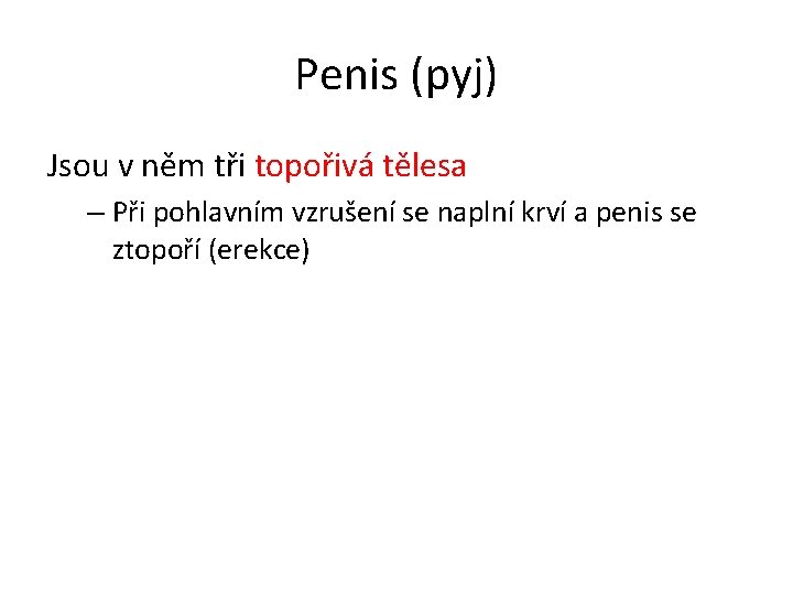 Penis (pyj) Jsou v něm tři topořivá tělesa – Při pohlavním vzrušení se naplní