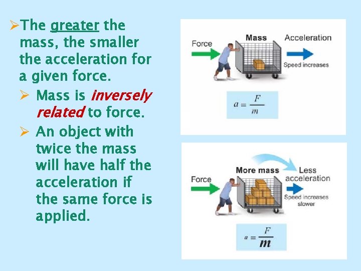 ØThe greater the mass, the smaller the acceleration for a given force. Ø Mass