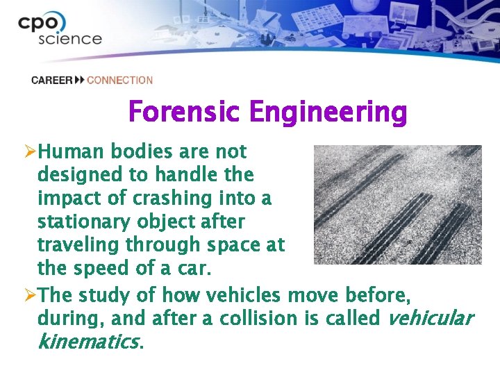 Forensic Engineering ØHuman bodies are not designed to handle the impact of crashing into