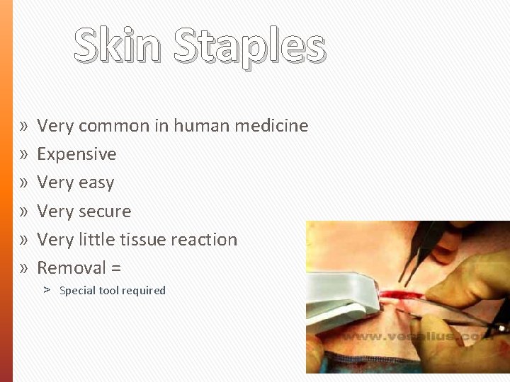 Skin Staples » » » Very common in human medicine Expensive Very easy Very