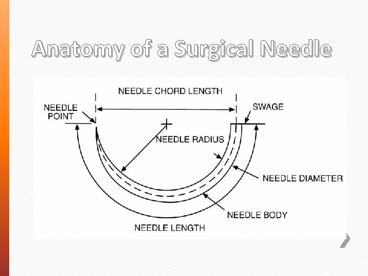 Anatomy of a Surgical Needle 