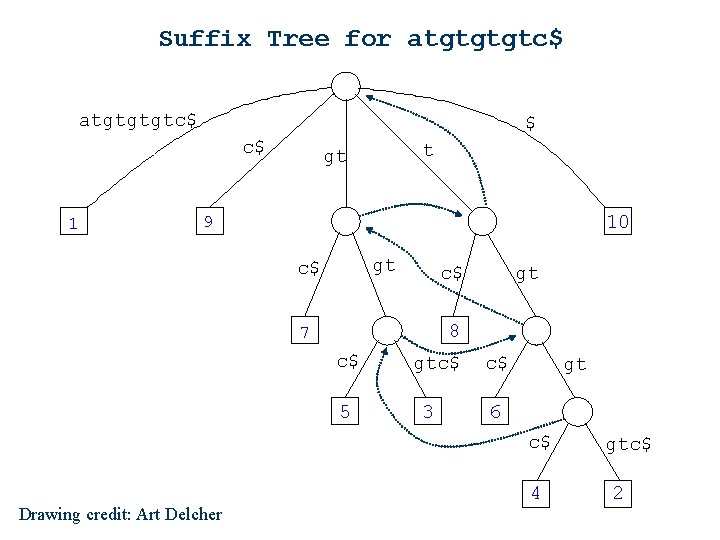 Suffix Tree for atgtgtgtc$ $ c$ 1 t gt 10 9 gt c$ c$