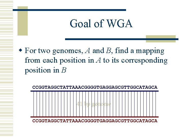 Goal of WGA w For two genomes, A and B, find a mapping from