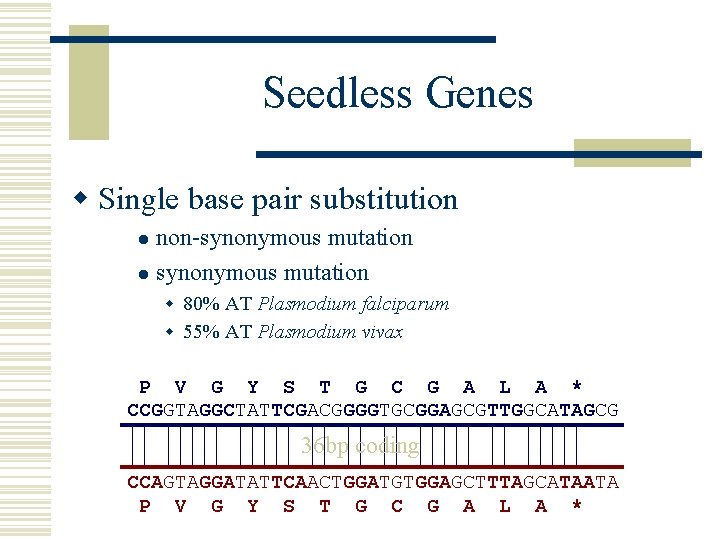 Seedless Genes w Single base pair substitution non-synonymous mutation l w 80% AT Plasmodium