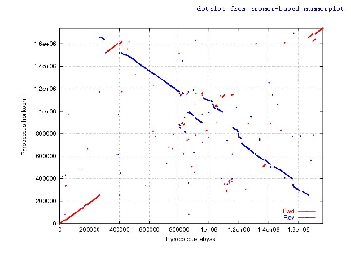 dotplot from promer-based mummerplot 