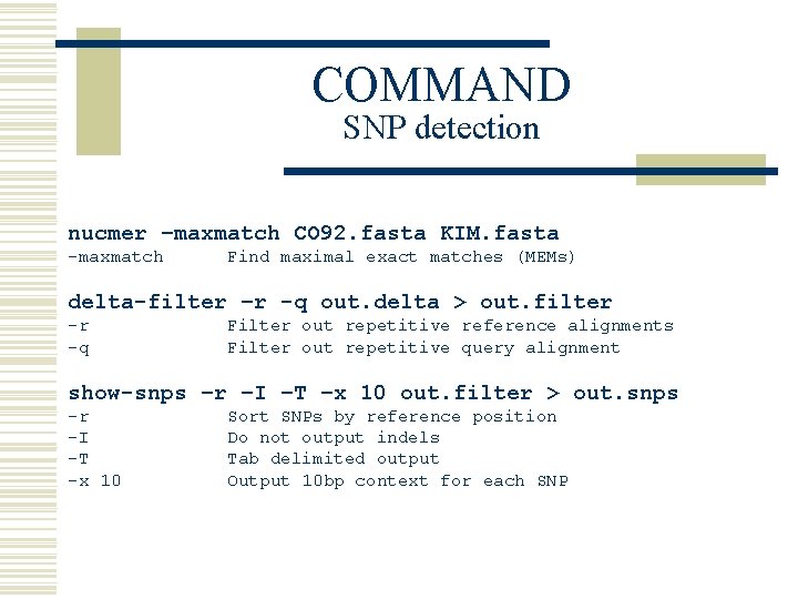 COMMAND SNP detection nucmer –maxmatch CO 92. fasta KIM. fasta -maxmatch Find maximal exact