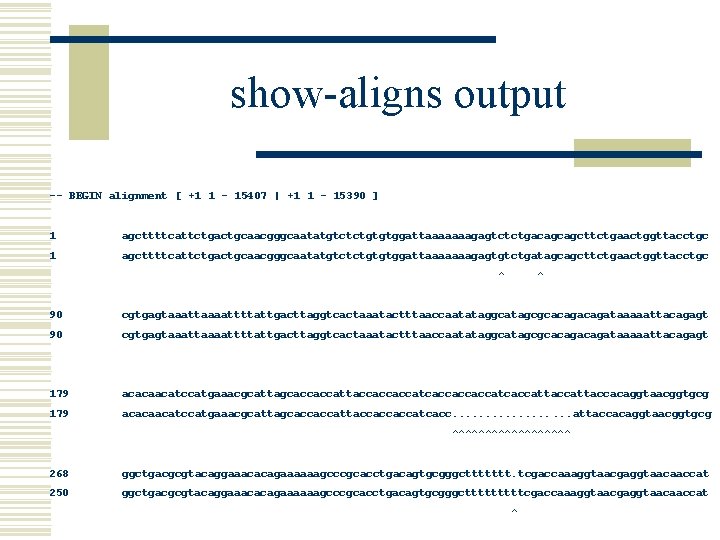 show-aligns output -- BEGIN alignment [ +1 1 - 15407 | +1 1 -