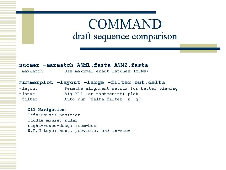 COMMAND draft sequence comparison nucmer –maxmatch ASM 1. fasta ASM 2. fasta -maxmatch Use