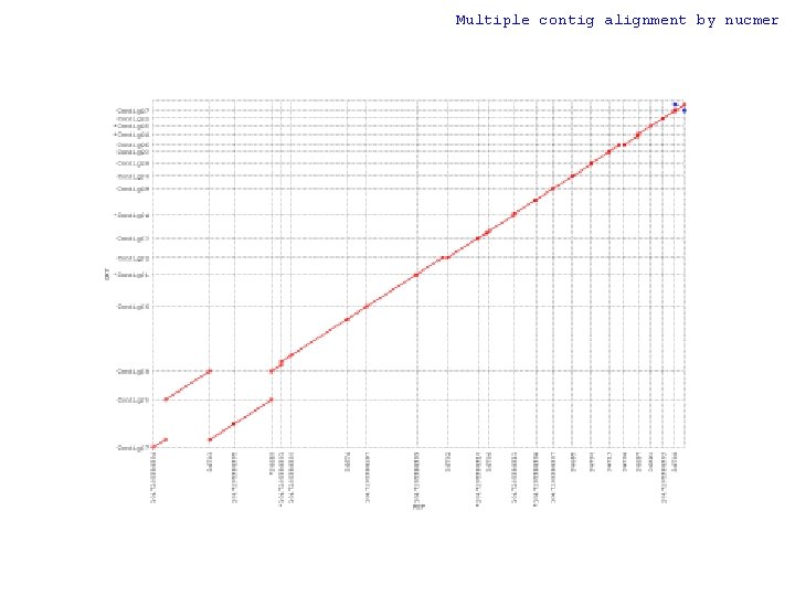 Multiple contig alignment by nucmer 