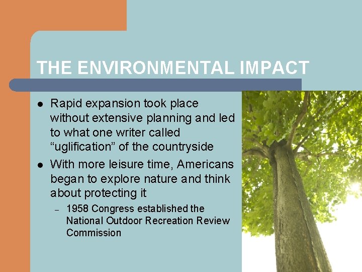 THE ENVIRONMENTAL IMPACT l l Rapid expansion took place without extensive planning and led