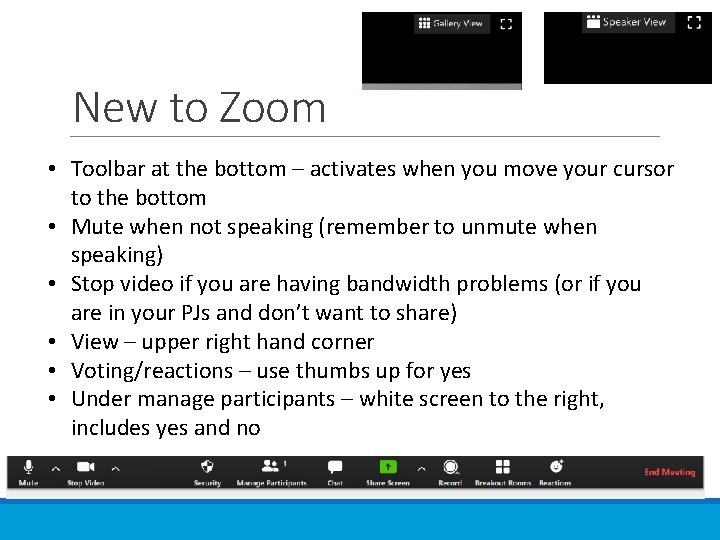 New to Zoom • Toolbar at the bottom – activates when you move your