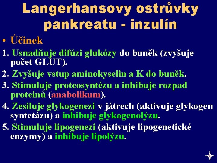 Langerhansovy ostrůvky pankreatu - inzulín • Účinek 1. Usnadňuje difúzi glukózy do buněk (zvyšuje