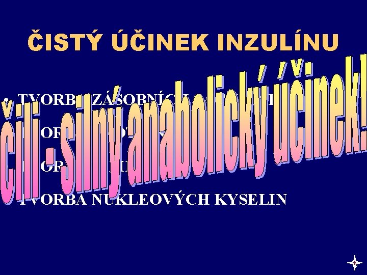 ČISTÝ ÚČINEK INZULÍNU • TVORBA ZÁSOBNÍCH SACHARIDŮ • TVORBA PROTEINŮ • TVORBA LIPIDŮ •