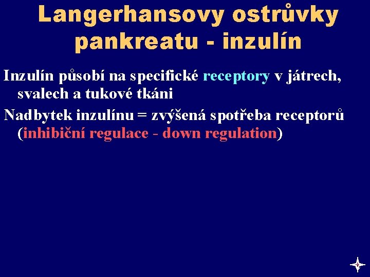 Langerhansovy ostrůvky pankreatu - inzulín Inzulín působí na specifické receptory v játrech, svalech a