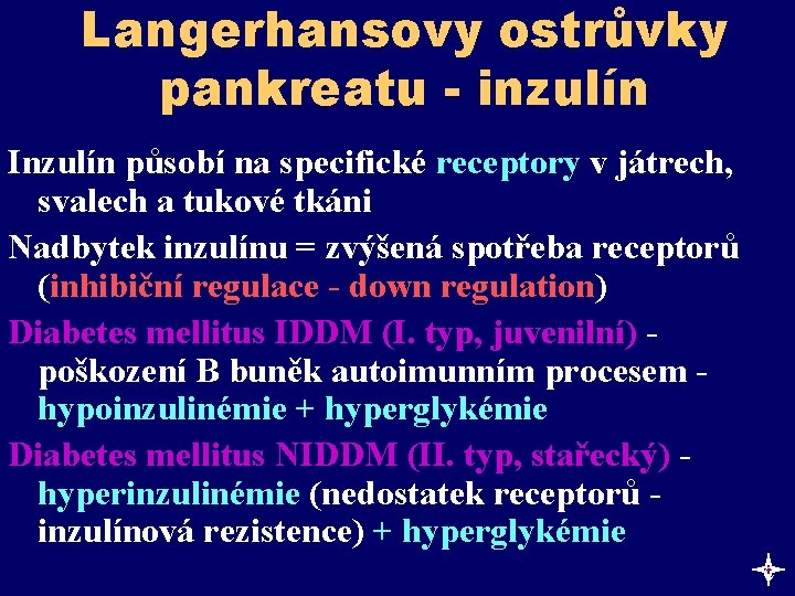 Langerhansovy ostrůvky pankreatu - inzulín Inzulín působí na specifické receptory v játrech, svalech a