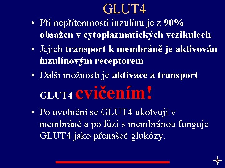 GLUT 4 • Při nepřítomnosti inzulínu je z 90% obsažen v cytoplazmatických vezikulech. •