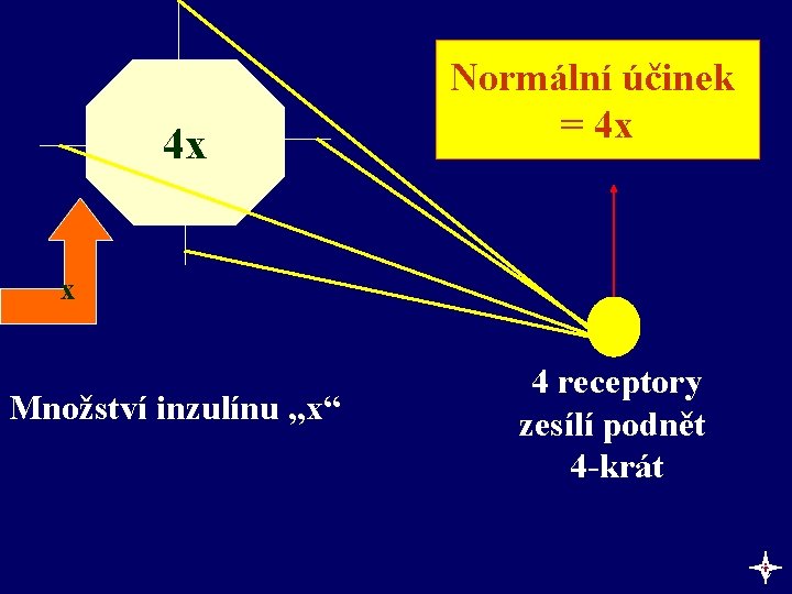 4 x Normální účinek = 4 x x Množství inzulínu „x“ 4 receptory zesílí