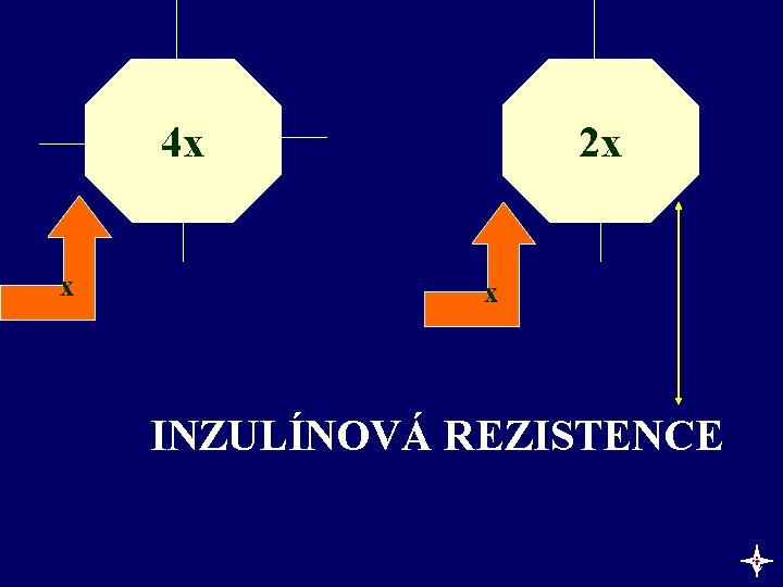 4 x x 2 x x INZULÍNOVÁ REZISTENCE c 