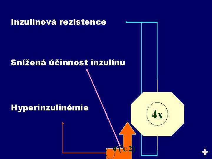 Inzulínová rezistence Snížená účinnost inzulínu Hyperinzulinémie 4 x 4 (x: 2) c 