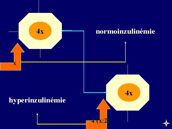 4 x 4 x normoinzulinémie x 4 x 4 x hyperinzulinémie 4 (x: 2)