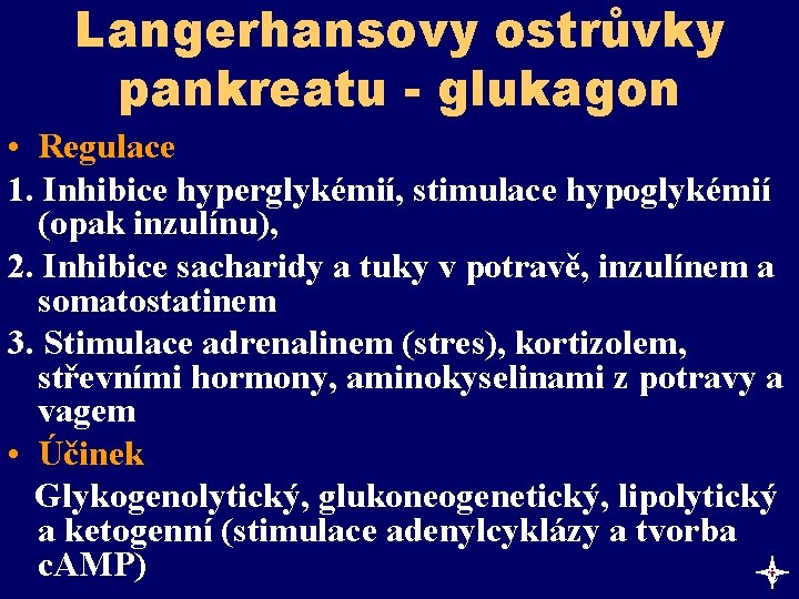 Langerhansovy ostrůvky pankreatu - glukagon • Regulace 1. Inhibice hyperglykémií, stimulace hypoglykémií (opak inzulínu),