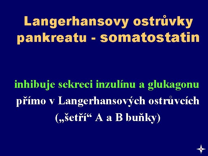 Langerhansovy ostrůvky pankreatu - somatostatin inhibuje sekreci inzulínu a glukagonu přímo v Langerhansových ostrůvcích