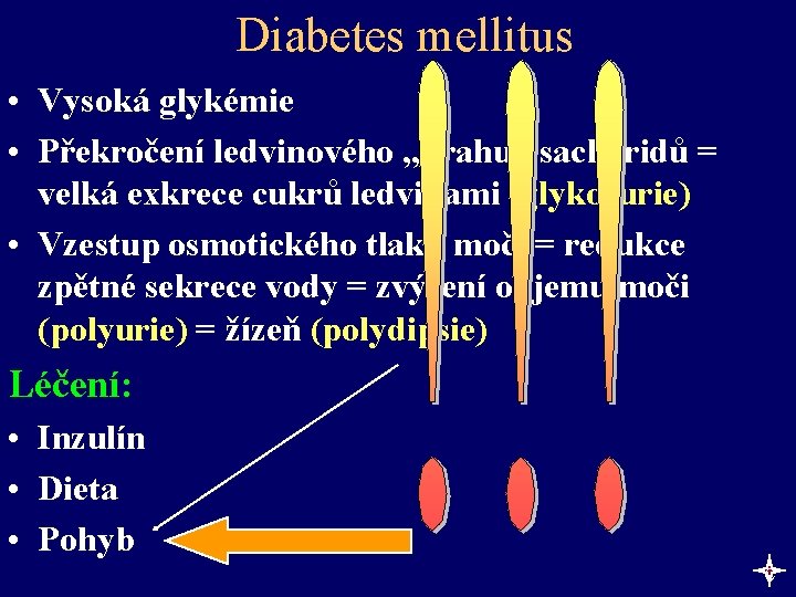 Diabetes mellitus • Vysoká glykémie • Překročení ledvinového „prahu“ sacharidů = velká exkrece cukrů