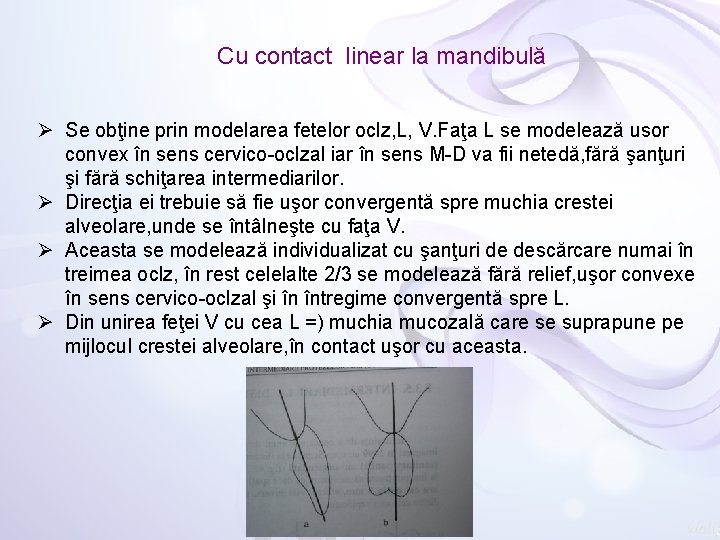 Cu contact linear la mandibulă Ø Se obţine prin modelarea fetelor oclz, L, V.