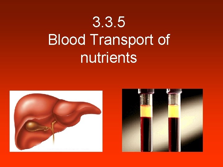 3. 3. 5 Blood Transport of nutrients 