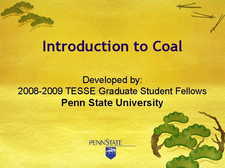 Introduction to Coal Developed by: 2008 -2009 TESSE Graduate Student Fellows Penn State University