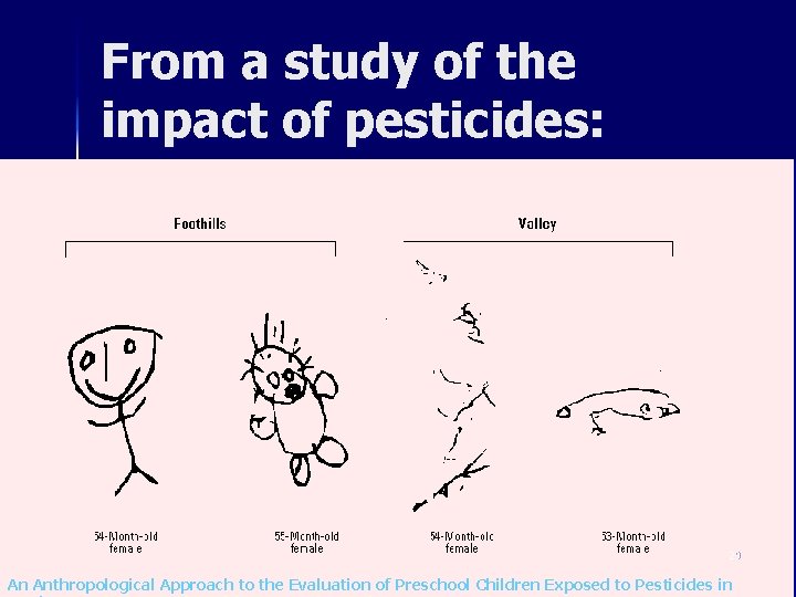 From a study of the impact of pesticides: 29 An Anthropological Approach to the