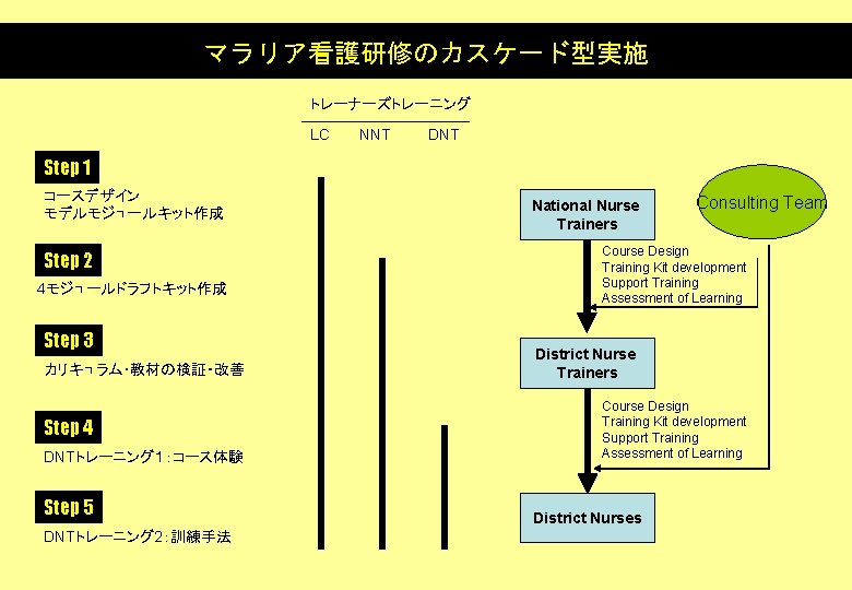 マラリア看護研修のカスケード型実施 トレーナーズトレーニング LC NNT DNT Step 1 コースデザイン モデルモジュールキット作成 Step 2 4モジュールドラフトキット作成 Step 3