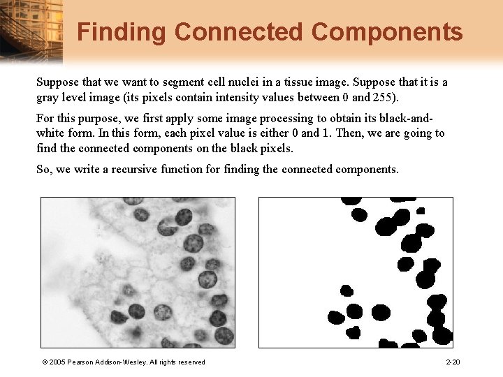 Finding Connected Components Suppose that we want to segment cell nuclei in a tissue