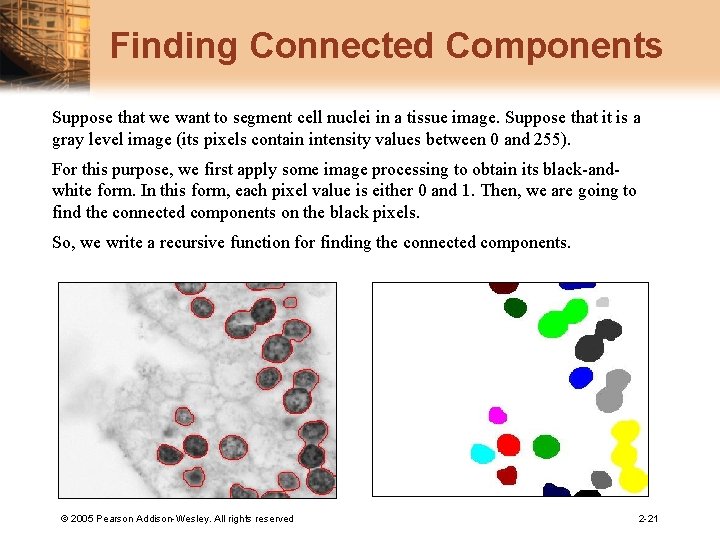 Finding Connected Components Suppose that we want to segment cell nuclei in a tissue