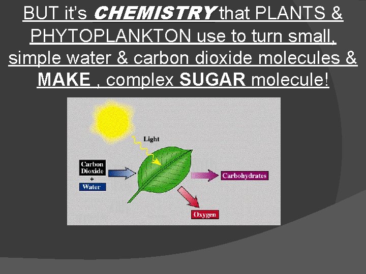 BUT it’s CHEMISTRY that PLANTS & PHYTOPLANKTON use to turn small, simple water &