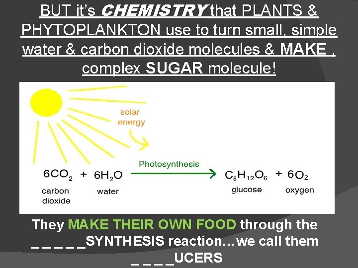 BUT it’s CHEMISTRY that PLANTS & PHYTOPLANKTON use to turn small, simple water &