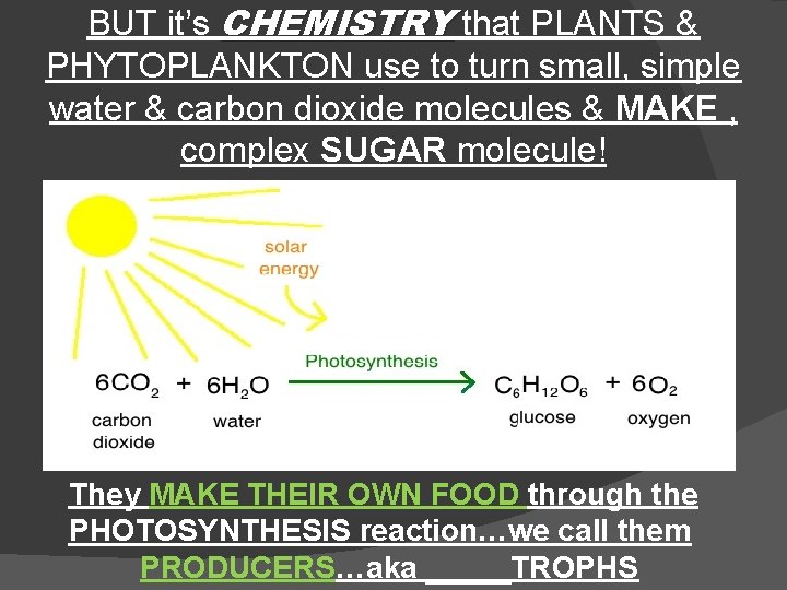 BUT it’s CHEMISTRY that PLANTS & PHYTOPLANKTON use to turn small, simple water &