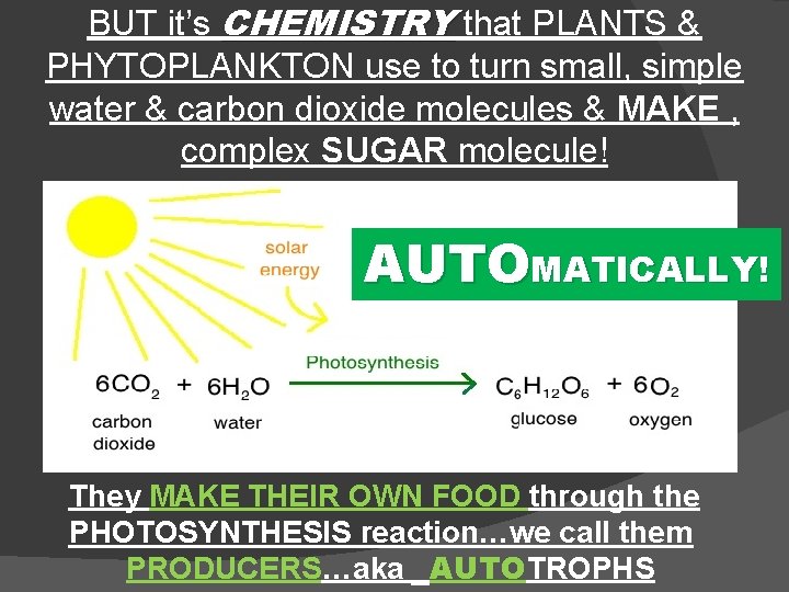 BUT it’s CHEMISTRY that PLANTS & PHYTOPLANKTON use to turn small, simple water &