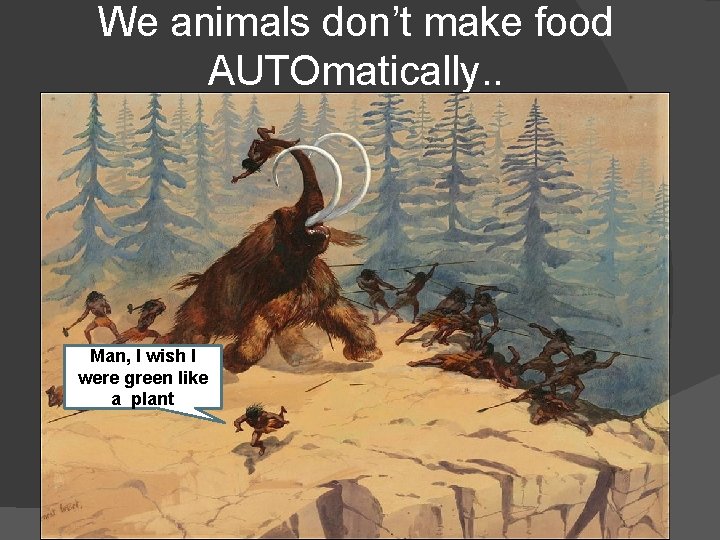 We animals don’t make food AUTOmatically. . Man, I wish I were green like