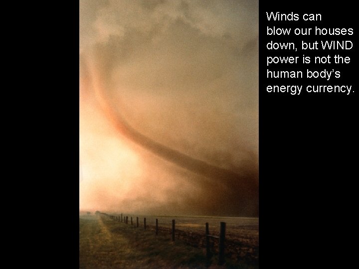 Winds can blow our houses down, but WIND power is not the human body’s