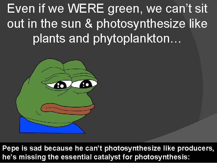 Even if we WERE green, we can’t sit out in the sun & photosynthesize