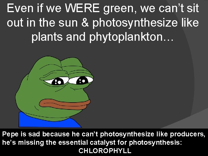 Even if we WERE green, we can’t sit out in the sun & photosynthesize