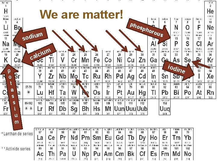 We are matter! sodiu m c ium cal p o t a s s