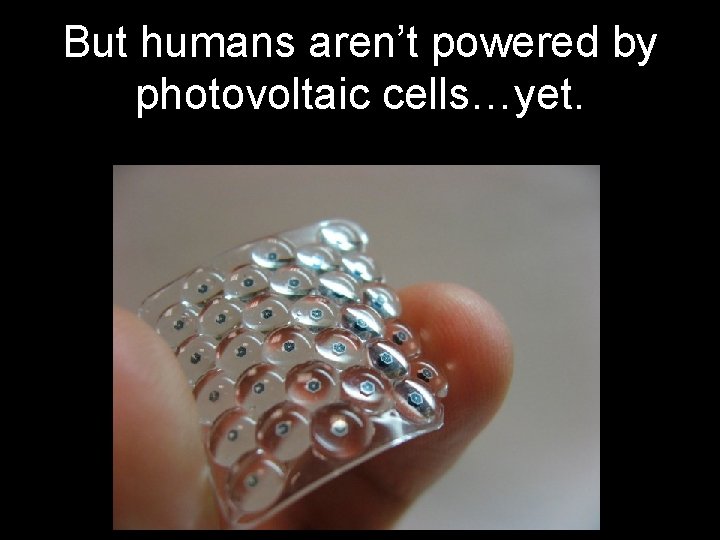 But humans aren’t powered by photovoltaic cells…yet. 