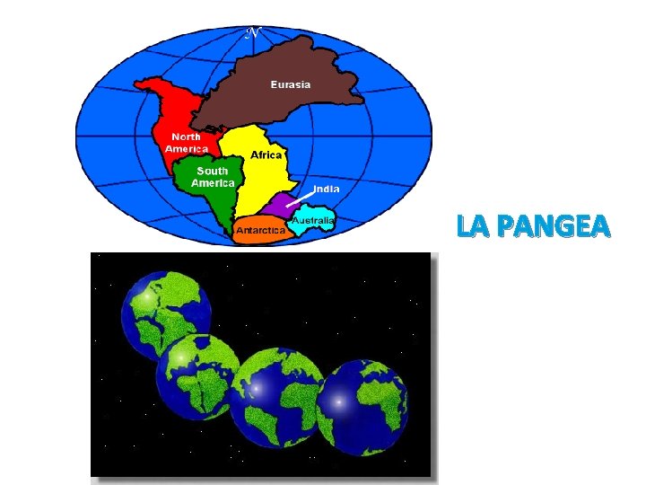 LA PANGEA LA PANGEA