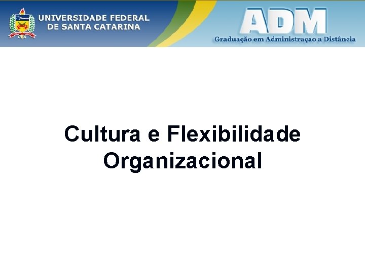 Cultura e Flexibilidade Organizacional 