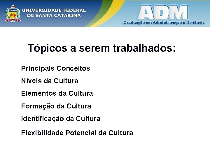 Tópicos a serem trabalhados: Principais Conceitos Níveis da Cultura Elementos da Cultura Formação da