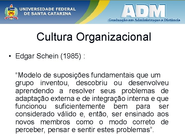 Cultura Organizacional • Edgar Schein (1985) : “Modelo de suposições fundamentais que um grupo
