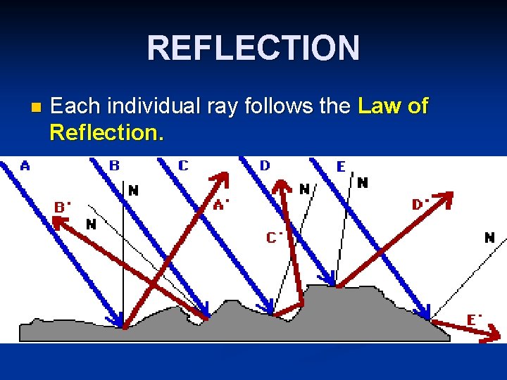 REFLECTION n Each individual ray follows the Law of Reflection. 